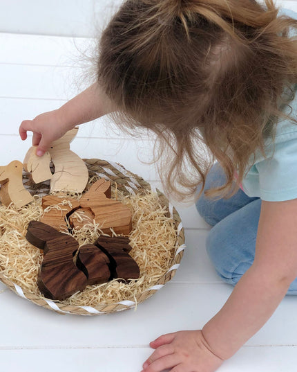 Nesting Bunny Set